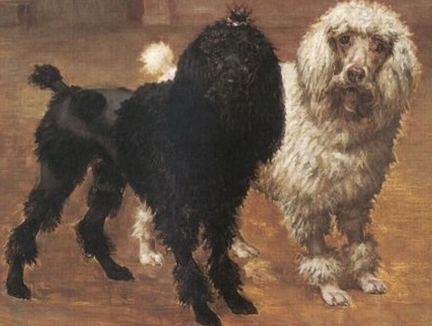 Vackertass Supply Co について