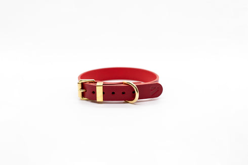 CLASSIC LEATHER COLLAR