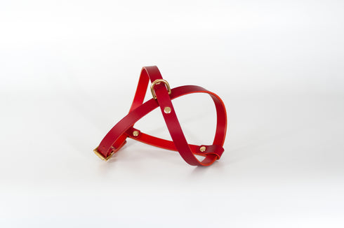 CROSS LEATHER HARNESS