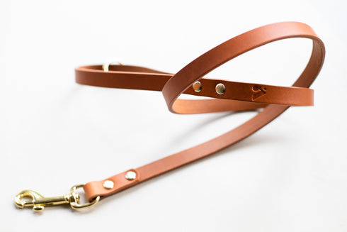 CLASSIC LEATHER LEAD