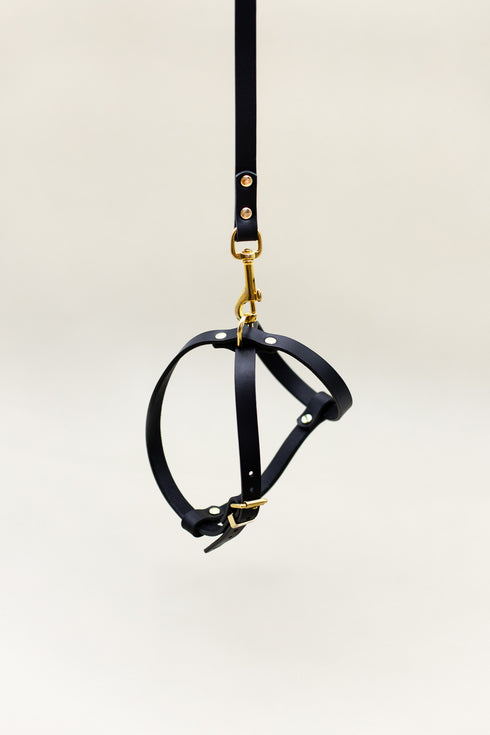 CROSS LEATHER HARNESS