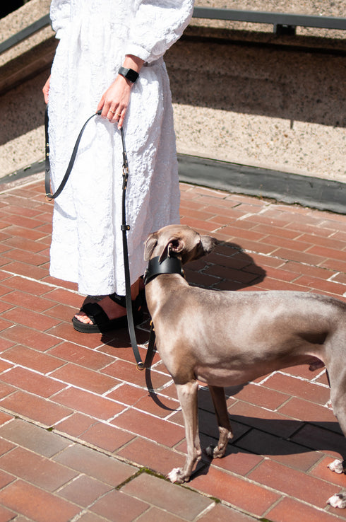 LONG LEATHER MULTI LEAD