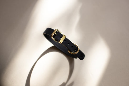 CLASSIC LEATHER COLLAR