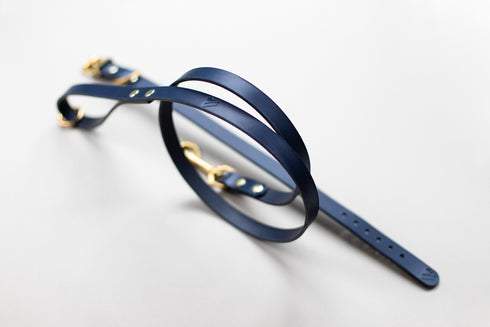 CLASSIC LEATHER LEAD