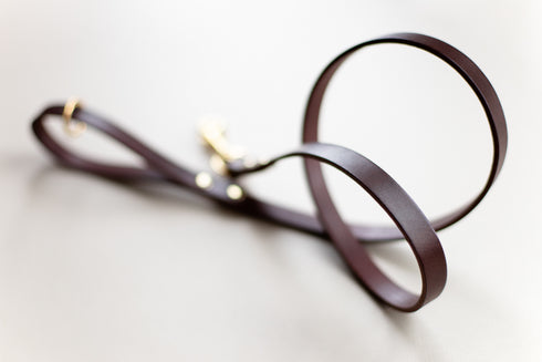 CLASSIC LEATHER LEAD