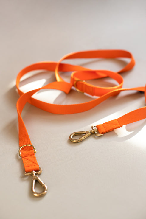 LONG COTTON MULTI LEAD