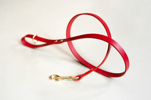 CLASSIC LEATHER LEAD