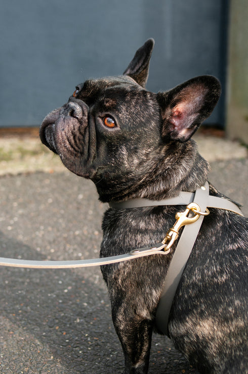 CROSS LEATHER HARNESS