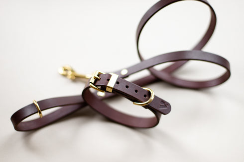 CLASSIC LEATHER COLLAR