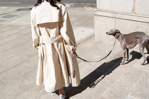 LONG LEATHER MULTI LEAD