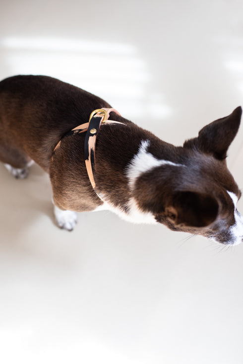 CROSS LEATHER HARNESS / INK COLLECTION / BRUSH