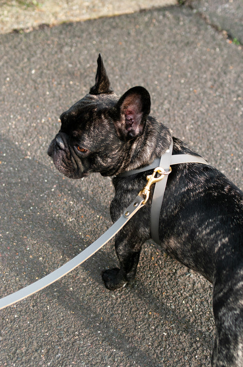 CROSS LEATHER HARNESS