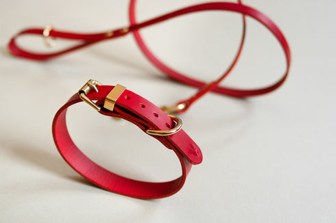 CLASSIC LEATHER COLLAR