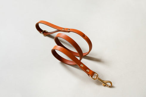 CLASSIC LEATHER LEAD