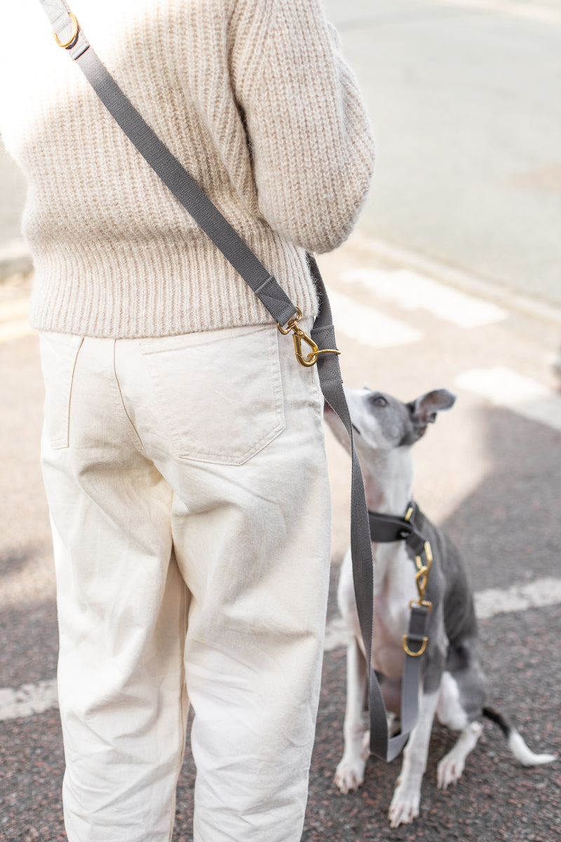 LONG COTTON MULTI LEAD DOG WEMBLEY