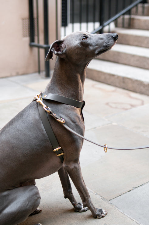 CROSS LEATHER HARNESS