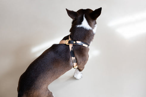 CROSS LEATHER HARNESS / INK COLLECTION / BRUSH