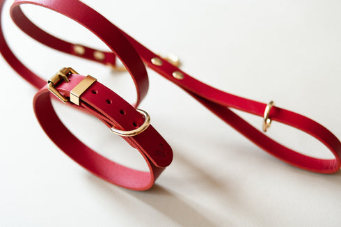 CLASSIC LEATHER COLLAR