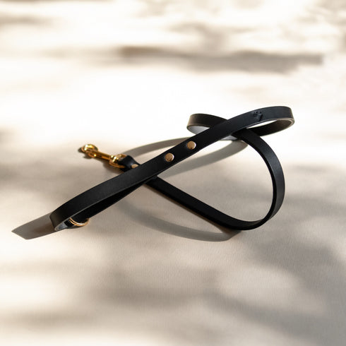 CLASSIC LEATHER LEAD