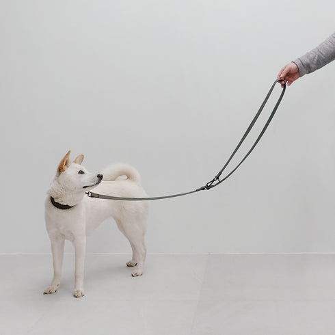 MELLEM NARROW LEASH