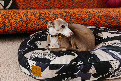 SMOOTH SPIKE LEATHER DOG COLLAR / GOLD