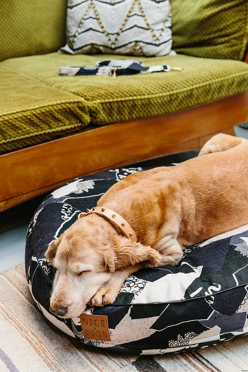 SMOOTH SPIKE LEATHER DOG COLLAR / GOLD