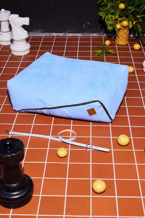 SMOOTH SPIKE LEATHER DOG LEASH