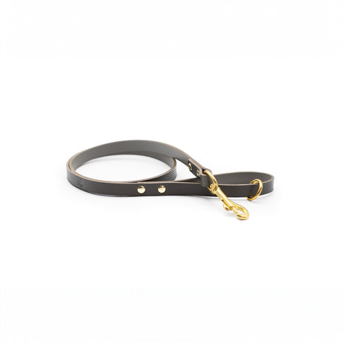 CLASSIC LEATHER LEAD