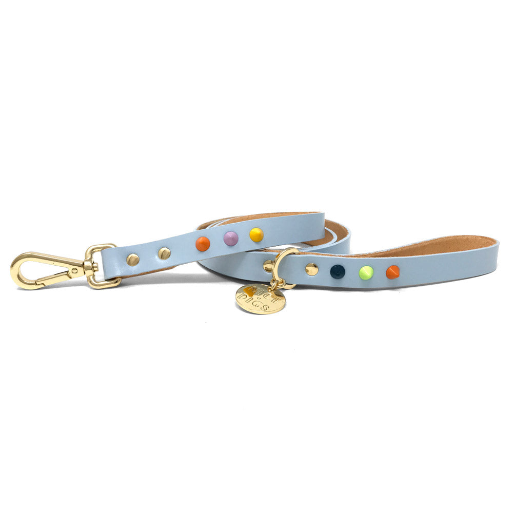 smooth spike dog leash (lime pistachio) – woof U
